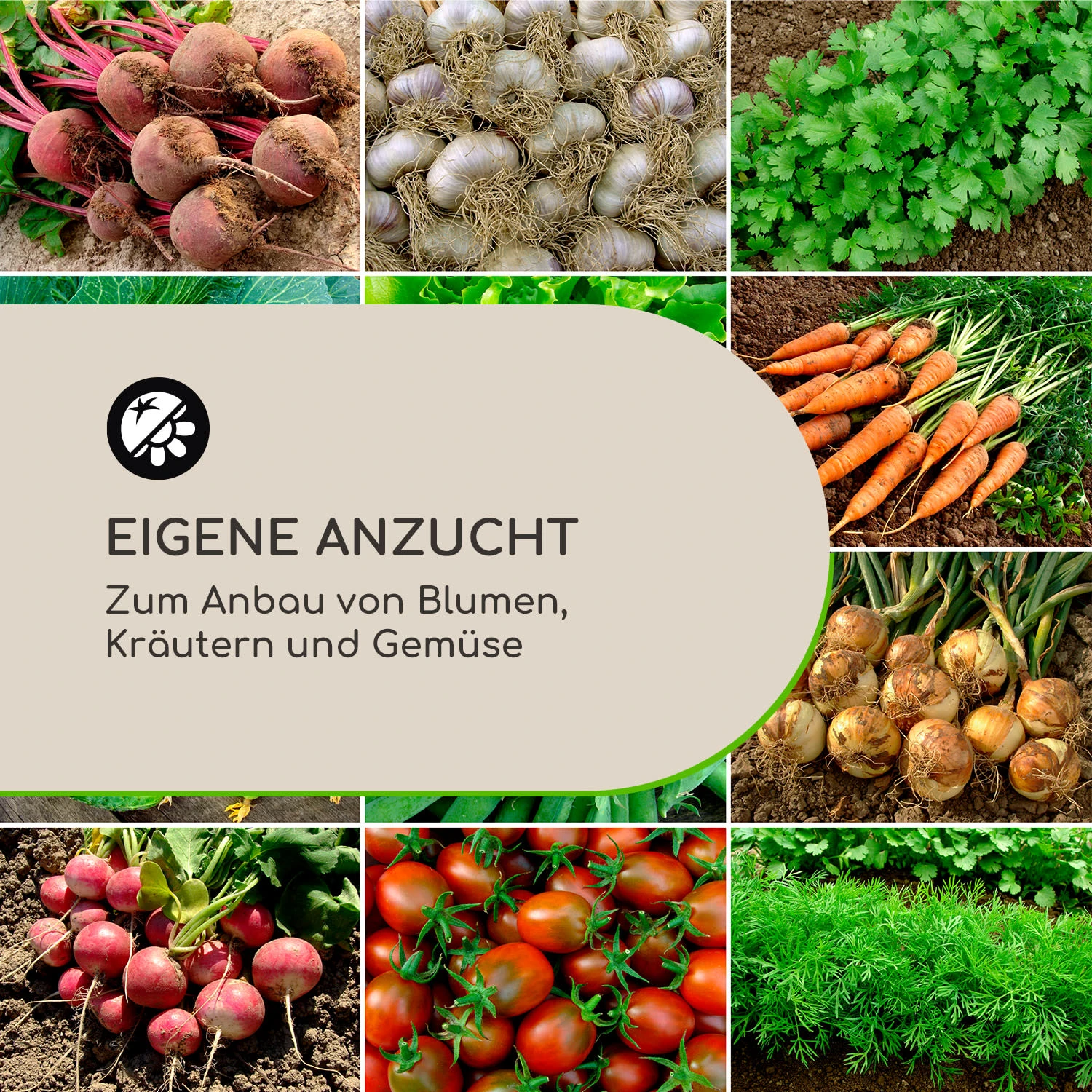 High Grow Advanced Hochbeet Mit Dach 120x95x100cm 540l Stahl Verzinkt – Bild 3