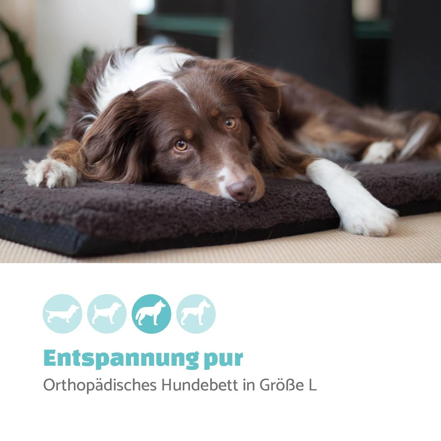 Luna Hundebett Waschbar Orthopädisch Rutschfest Memory-Schaum Größe L – Bild 2