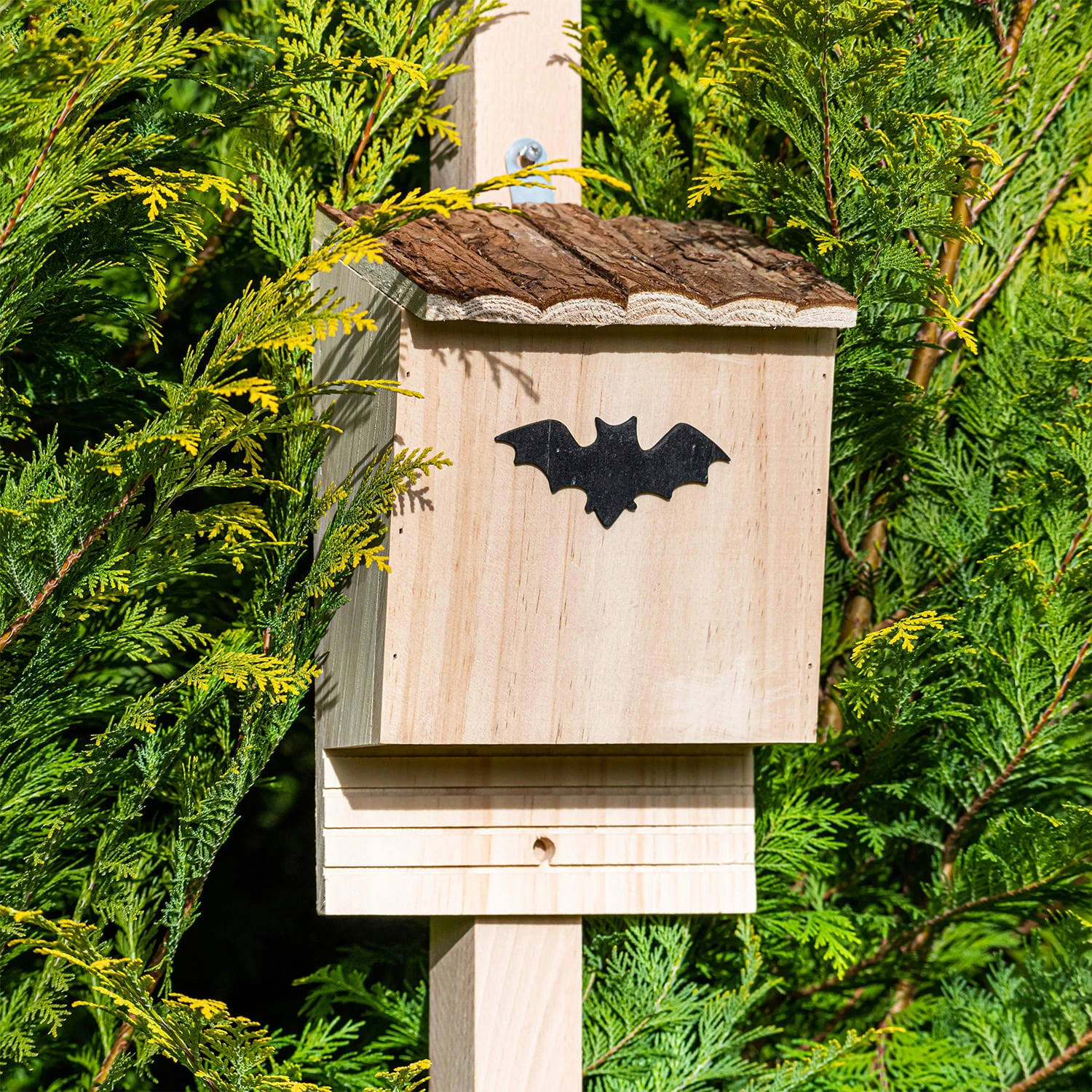 Fledermaushaus Nistkasten Überwinterungshilfe Ganzjährig Pinie – Bild 7