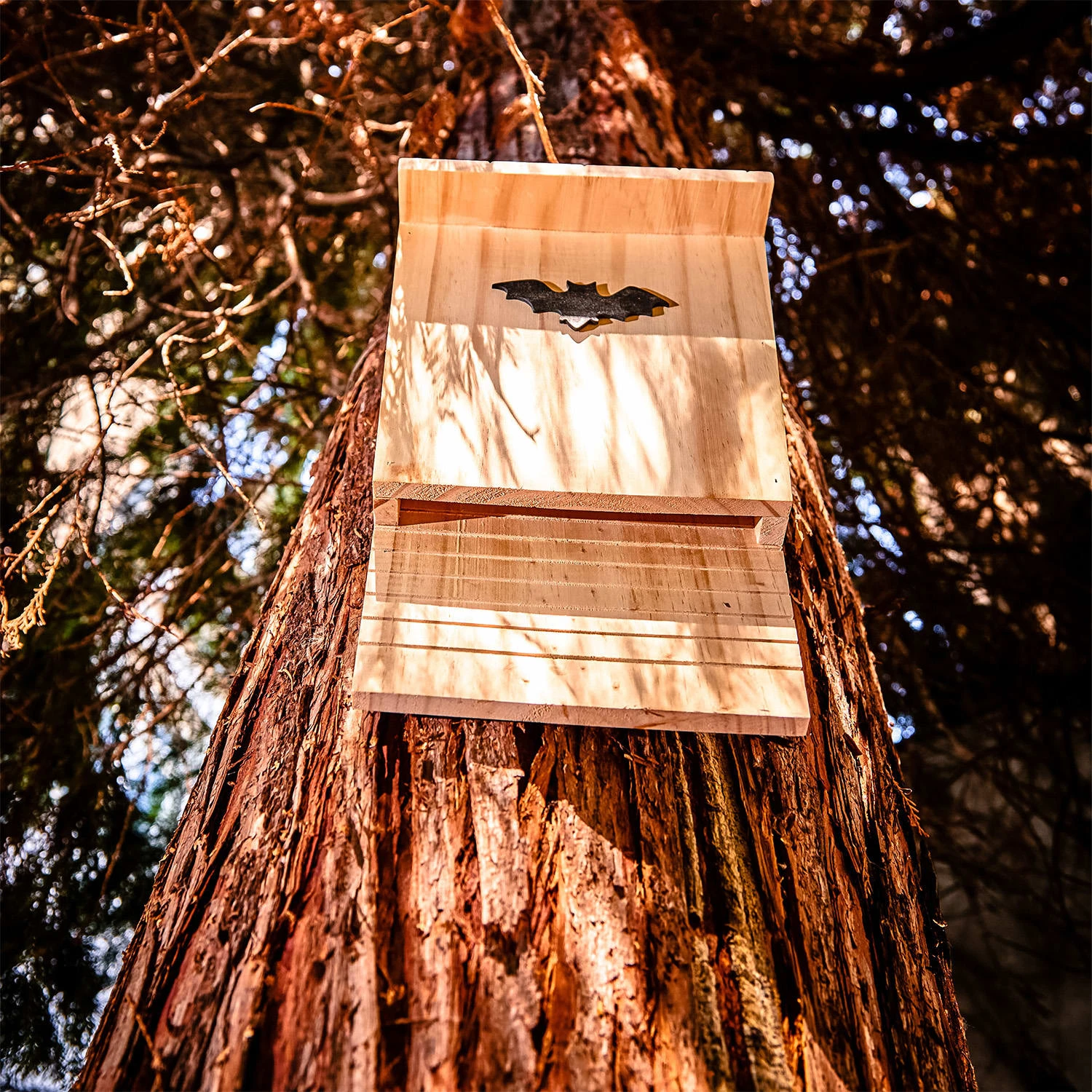 Fledermaushaus Nistkasten Überwinterungshilfe Ganzjährig Kiefer – Bild 5